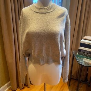 Alexander Wang Cropped Crewneck Sweater with Tulle Open Back